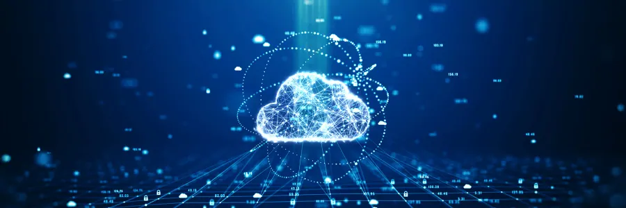 Virtualization or the cloud? How to choose the right solution for your business